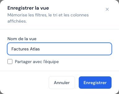 La fenêtre Enregistrer la vue avec le nom et la case Partager avec l'équipe